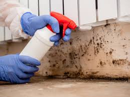 Best Asbestos and Lead Testing During Mold Inspection  in Clarks Green, PA